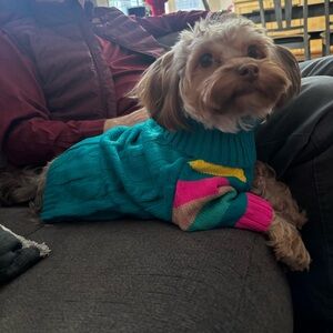 Meet your Posher, Magdalena